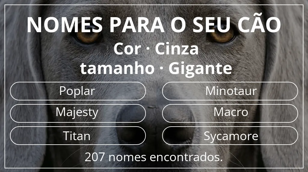 Nomes caninos com inspiração em cor cinza e tamanho gigante
