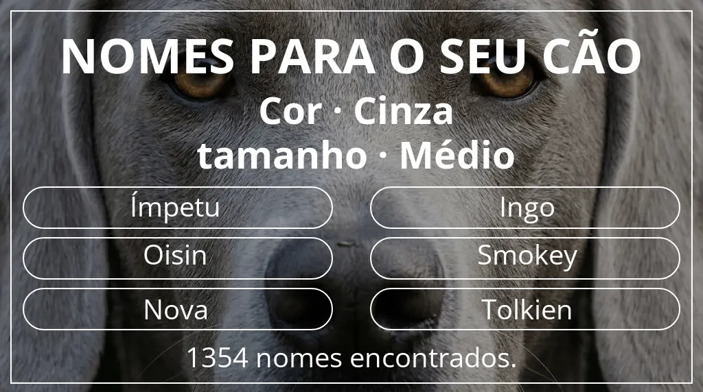 Nomes caninos segundo cor cinza e tamanho médio