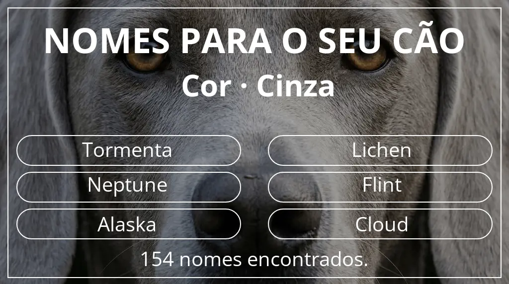 Nomes caninos segundo cor cinza