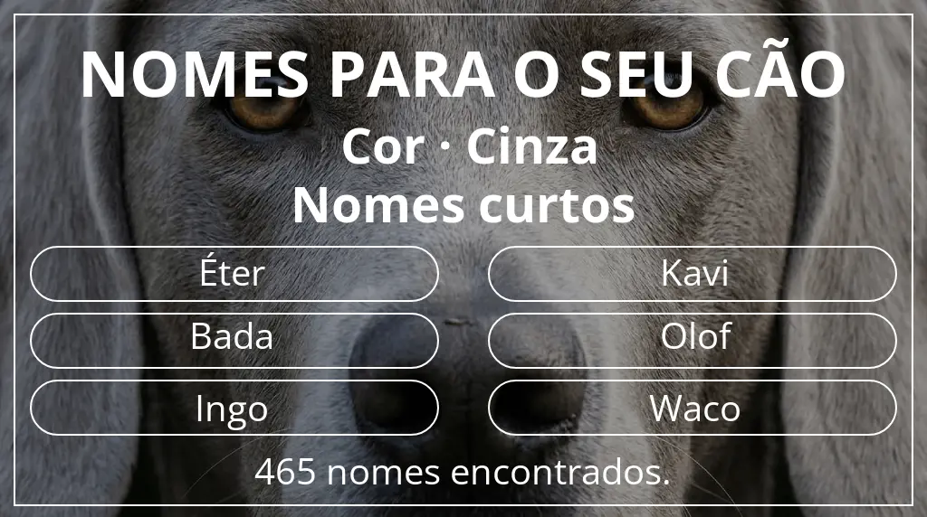 Nomes para cães com inspiração em cor cinza e comprimento do nome curto (2–4)