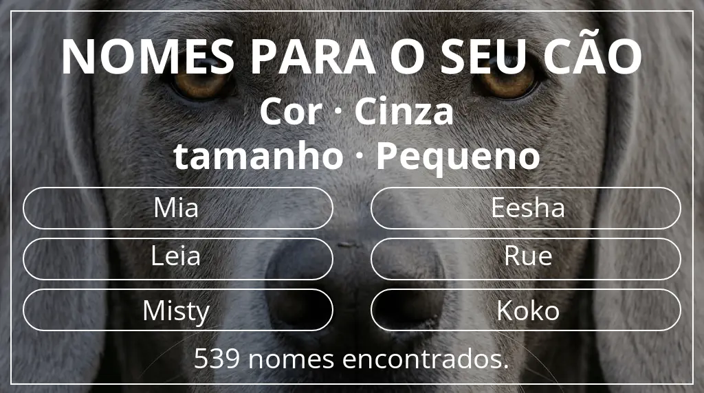 Nomes para cães segundo cor cinza e tamanho pequeno