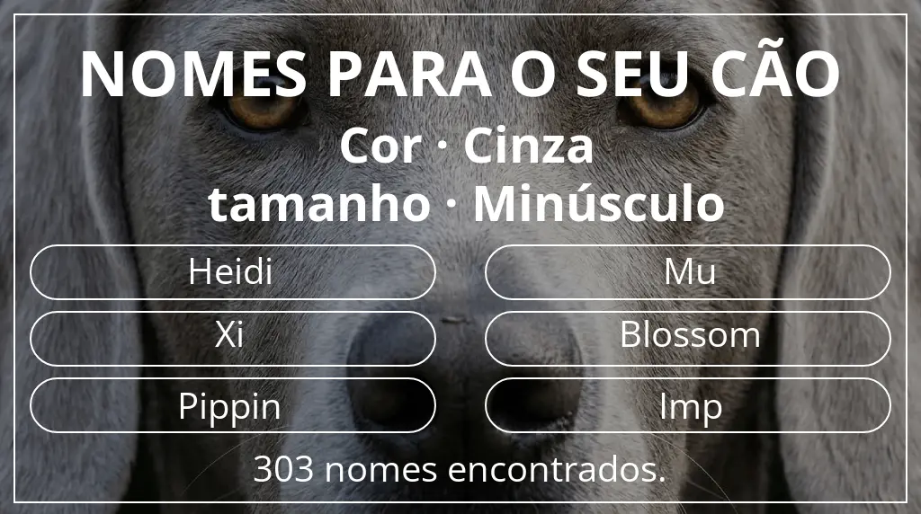 Nomes para cães com inspiração em cor cinza e tamanho minúsculo