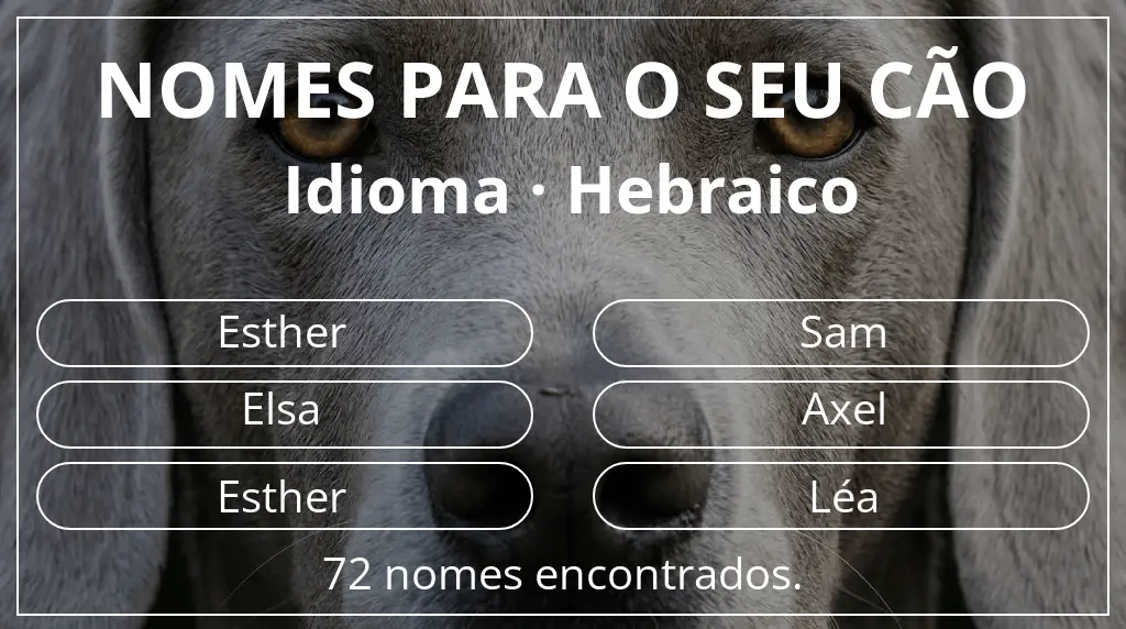 Nomes caninos baseados em idioma hebraico