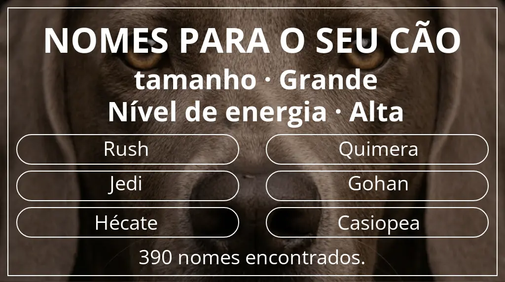 Nomes para cães baseados em tamanho grande e nível de energia alta