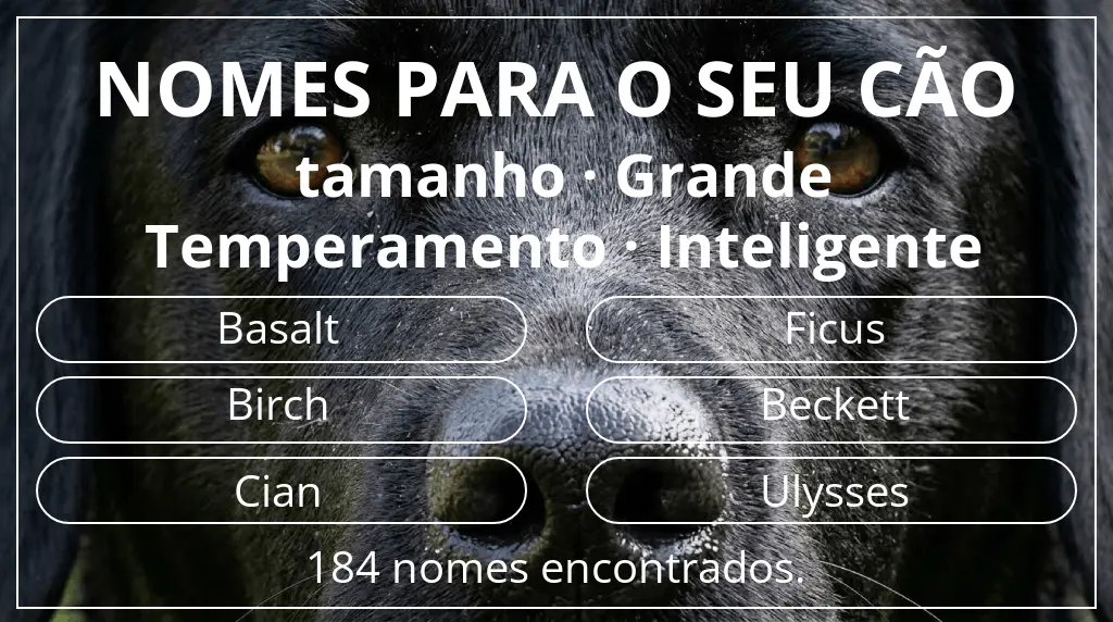 Nomes caninos com inspiração em tamanho grande e temperamento inteligente