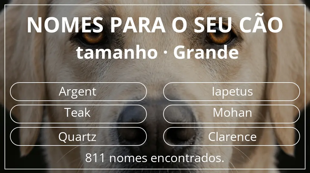 Nomes para cães segundo tamanho grande