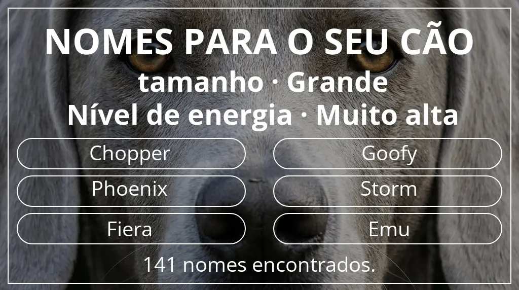 Nomes para cães com inspiração em tamanho grande e nível de energia muito alta