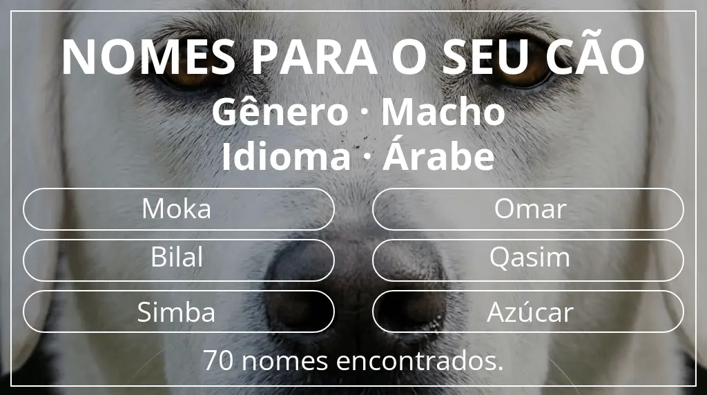 Nomes para cães baseados em gênero macho e idioma árabe