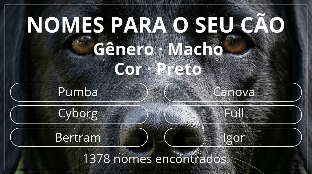 Nomes para cães segundo gênero macho e cor preto