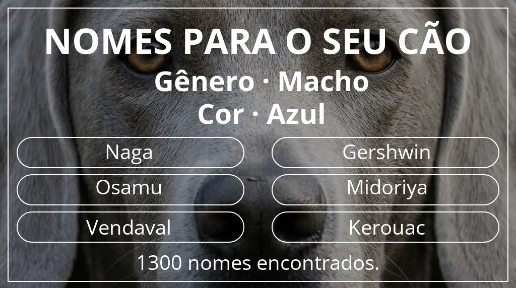Nomes caninos baseados em gênero macho e cor azul
