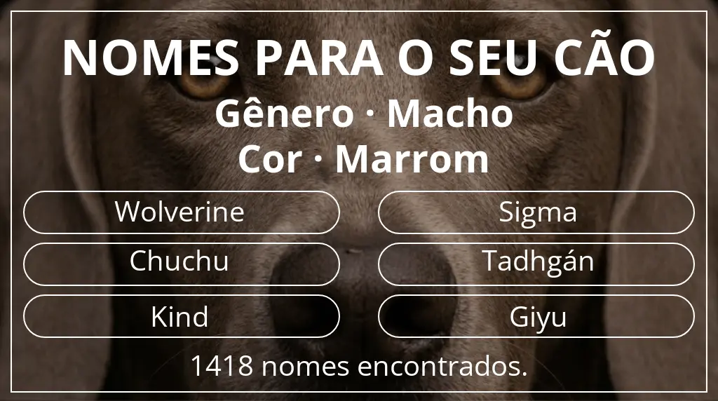Nomes para cães com inspiração em gênero macho e cor marrom