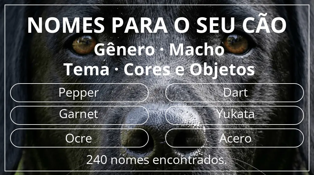 Nomes caninos segundo gênero macho e tema cores e objetos