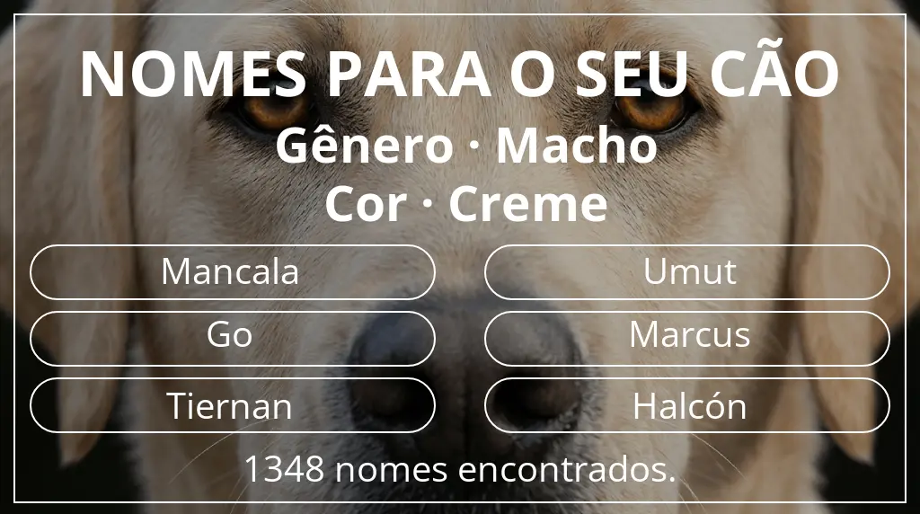 Nomes para cães com inspiração em gênero macho e cor creme
