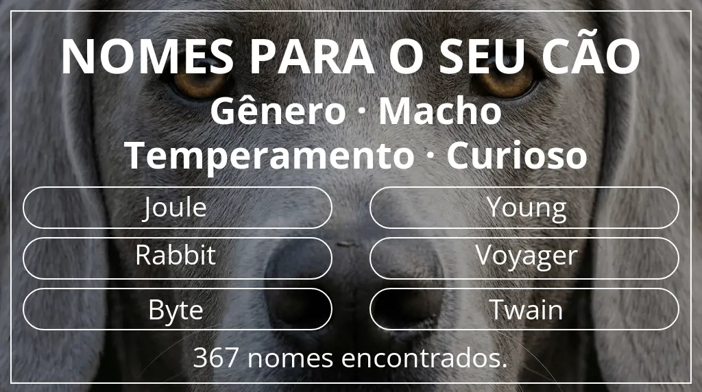 Nomes caninos com inspiração em gênero macho e temperamento curioso