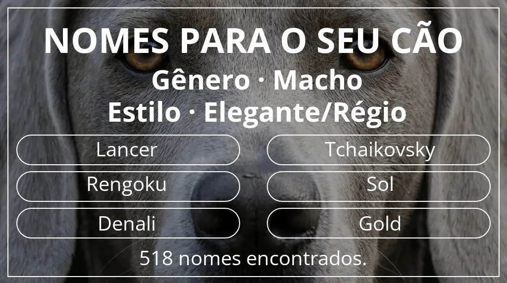 Nomes para cães com inspiração em gênero macho e estilo elegante/régio