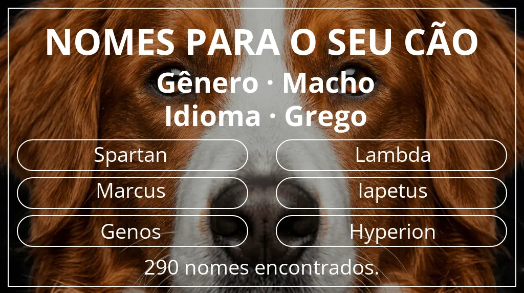 Nomes para cães com inspiração em gênero macho e idioma grego