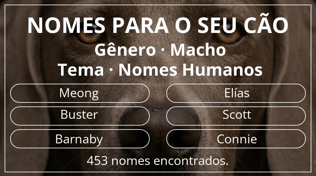 Nomes para cães segundo gênero macho e tema nomes humanos
