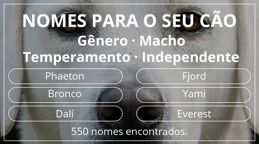 Nomes caninos com inspiração em gênero macho e temperamento independente