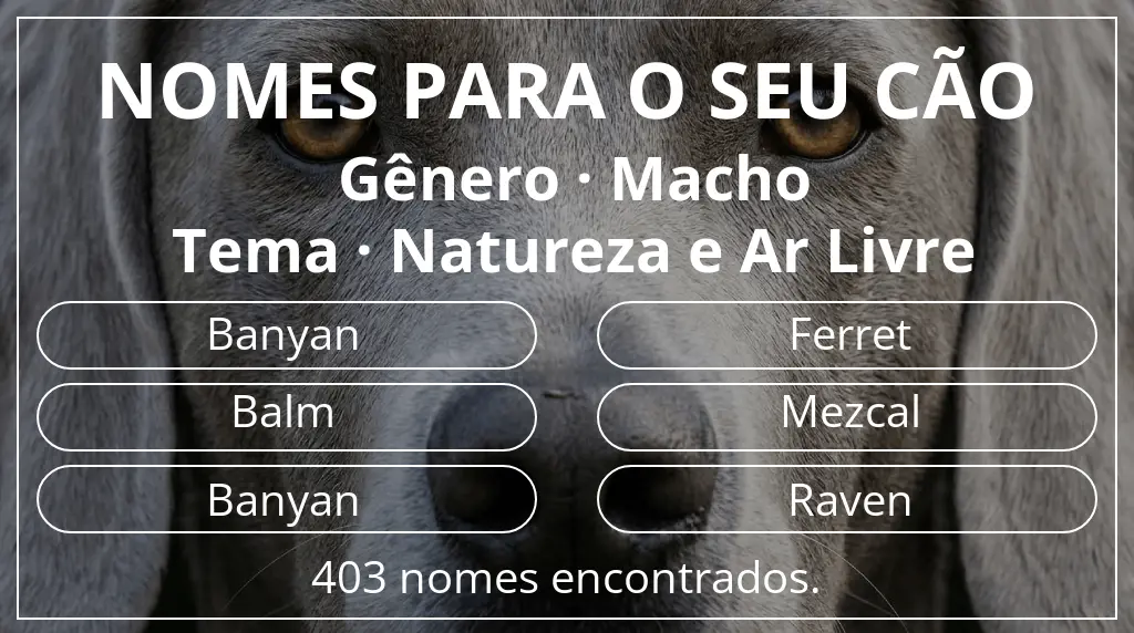 Nomes para cães segundo gênero macho e tema natureza e ar livre