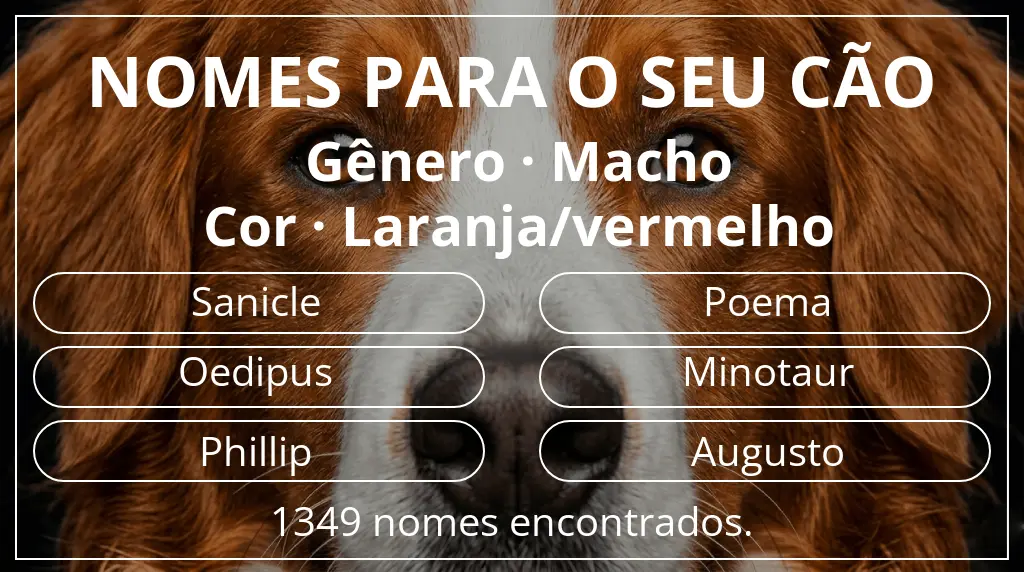 Nomes caninos baseados em gênero macho e cor laranja/vermelho