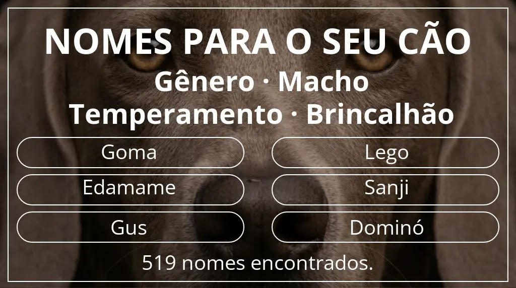 Nomes para cães segundo gênero macho e temperamento brincalhão