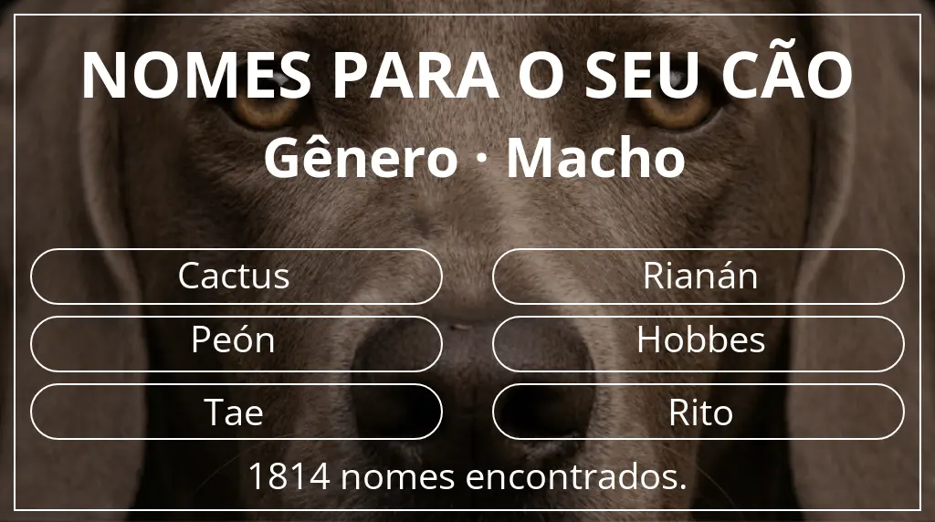 Nomes para cães baseados em gênero macho