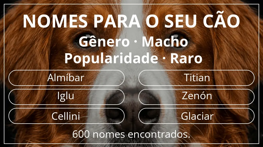 Nomes caninos baseados em gênero macho e popularidade raro