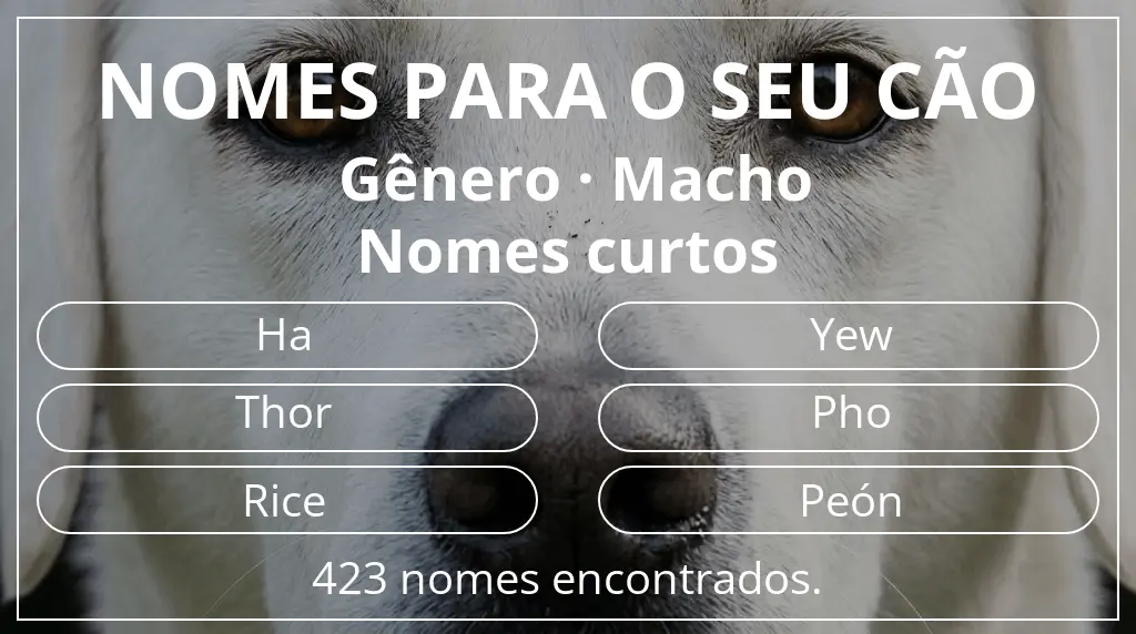Nomes para cães com inspiração em gênero macho e comprimento do nome curto (2–4)