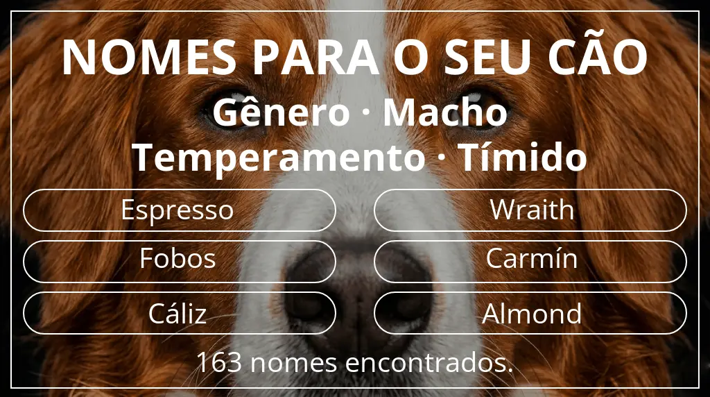 Nomes para cães com inspiração em gênero macho e temperamento tímido