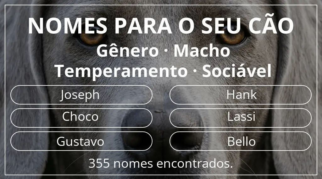 Nomes caninos com inspiração em gênero macho e temperamento sociável