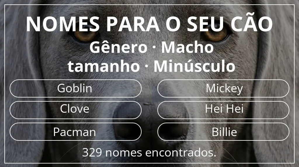 Nomes para cães baseados em gênero macho e tamanho minúsculo