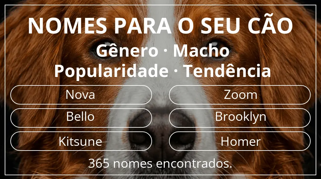Nomes para cães com inspiração em gênero macho e popularidade tendência