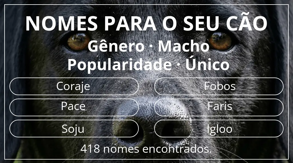 Nomes para cães segundo gênero macho e popularidade único