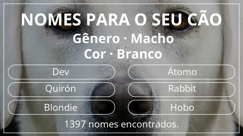 Nomes para cães baseados em gênero macho e cor branco