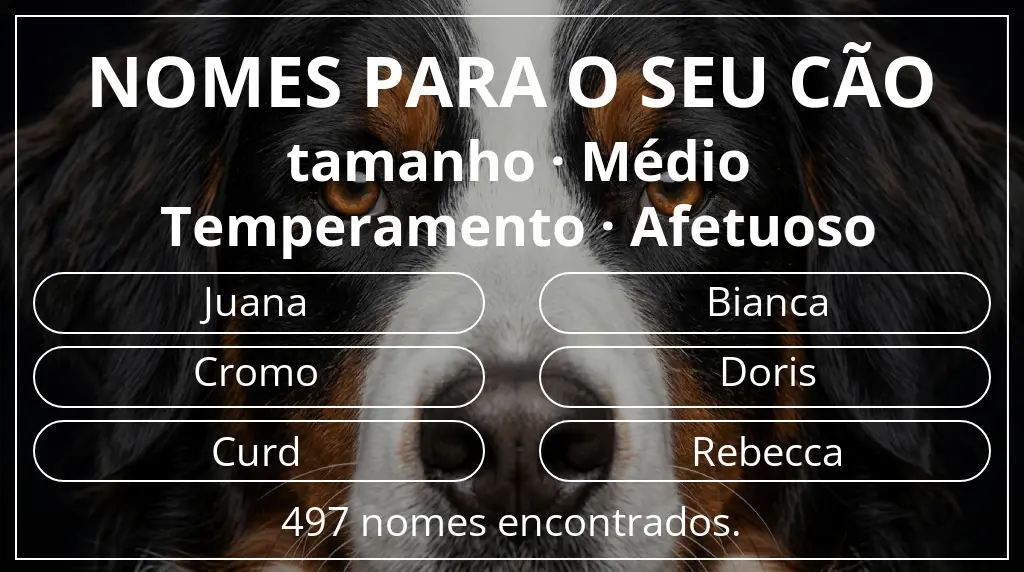 Nomes caninos com inspiração em tamanho médio e temperamento afetuoso
