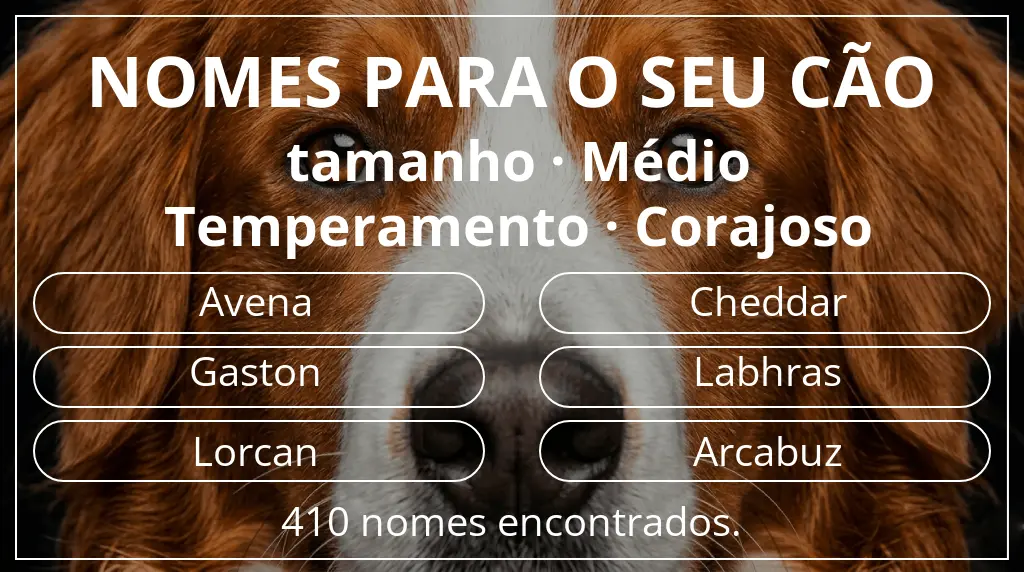 Nomes para cães baseados em tamanho médio e temperamento corajoso