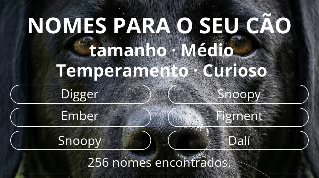 Nomes para cães baseados em tamanho médio e temperamento curioso