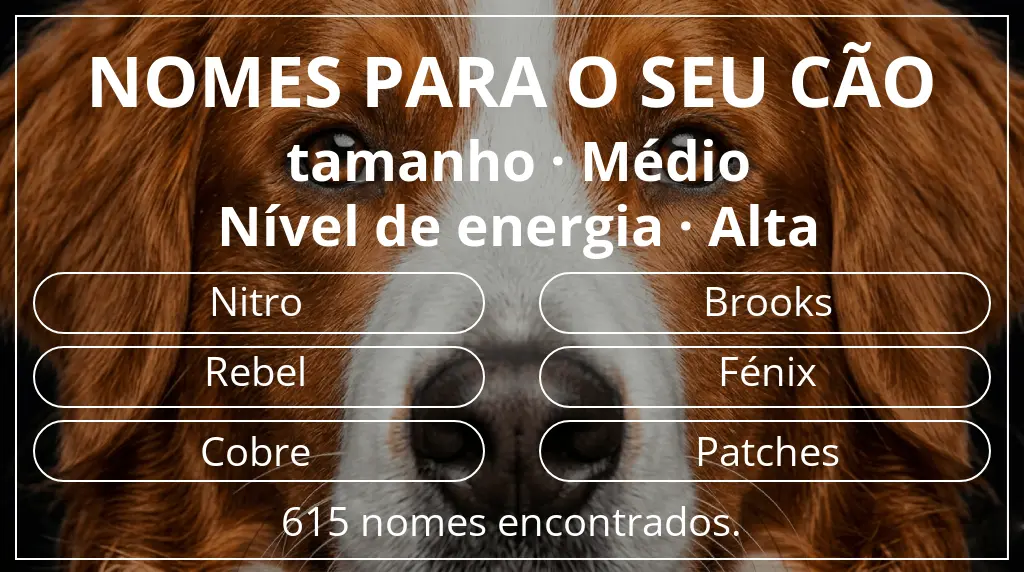 Nomes caninos segundo tamanho médio e nível de energia alta