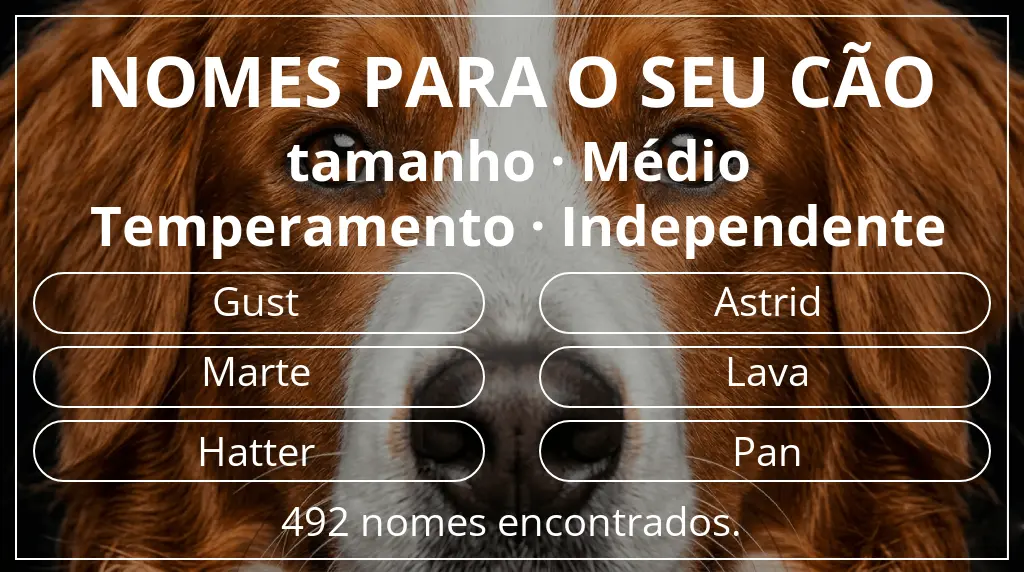 Nomes para cães com inspiração em tamanho médio e temperamento independente