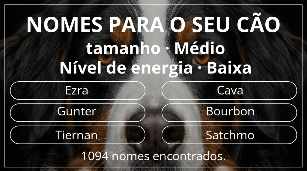 Nomes para cães com inspiração em tamanho médio e nível de energia baixa