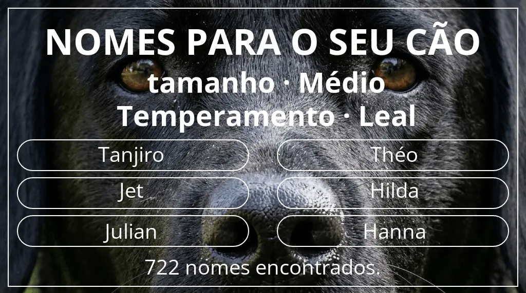 Nomes para cães com inspiração em tamanho médio e temperamento leal