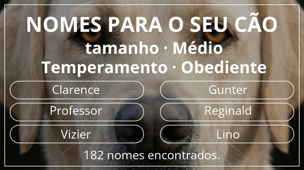 Nomes para cães segundo tamanho médio e temperamento obediente
