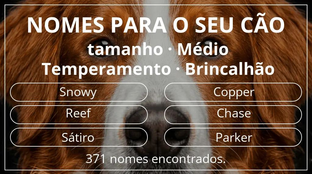 Nomes para cães com inspiração em tamanho médio e temperamento brincalhão