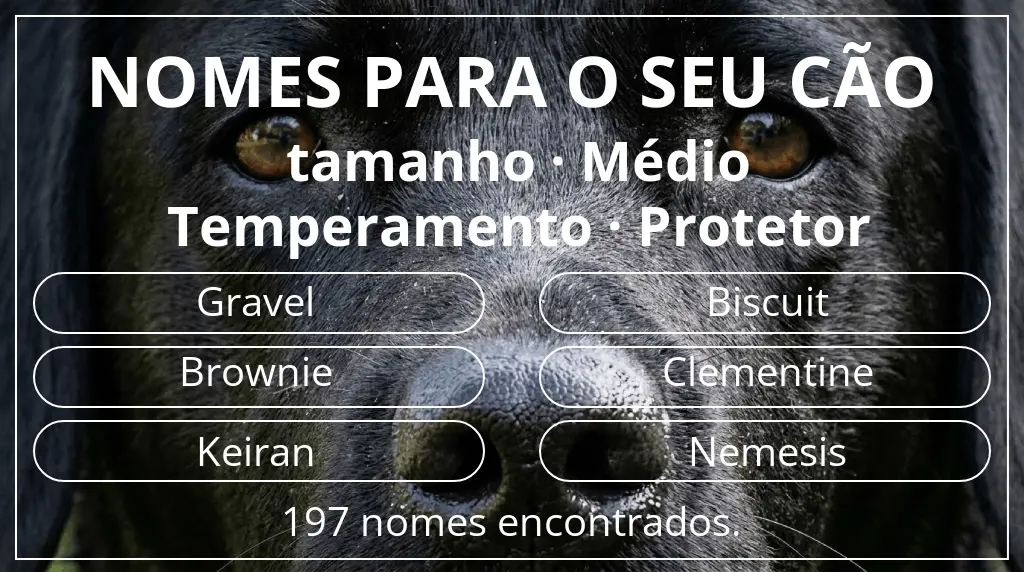 Nomes para cães baseados em tamanho médio e temperamento protetor