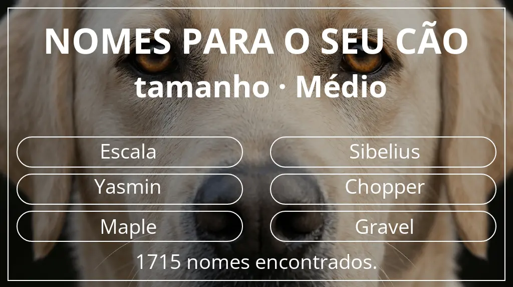 Nomes para cães baseados em tamanho médio