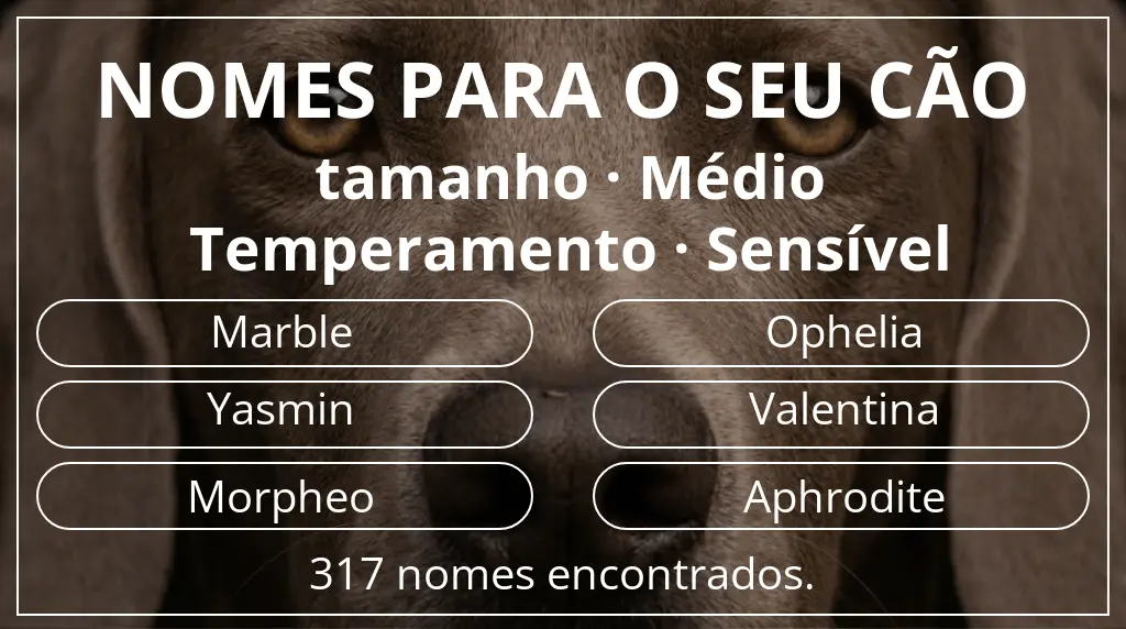 Nomes caninos com inspiração em tamanho médio e temperamento sensível