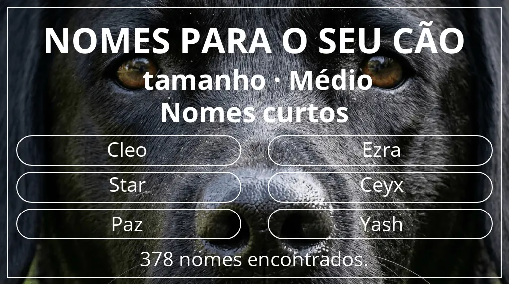 Nomes caninos segundo tamanho médio e comprimento do nome curto (2–4)