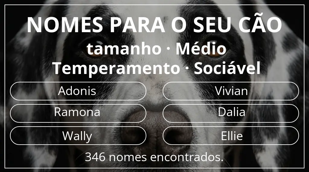 Nomes caninos com inspiração em tamanho médio e temperamento sociável