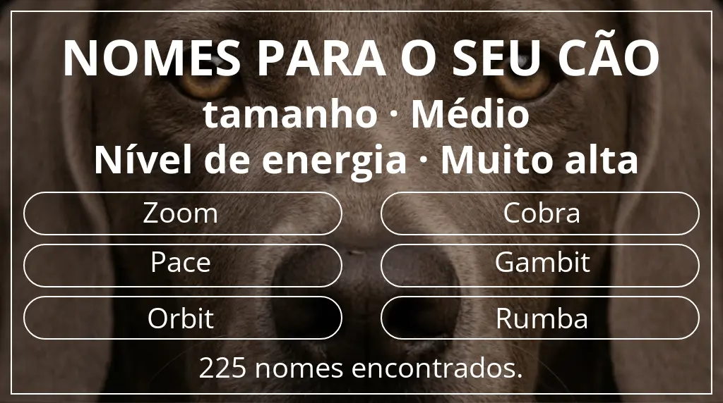 Nomes caninos segundo tamanho médio e nível de energia muito alta