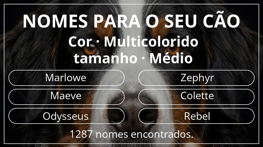 Nomes para cães com inspiração em cor multicolorido e tamanho médio